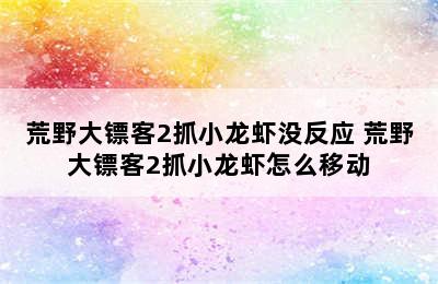 荒野大镖客2抓小龙虾没反应 荒野大镖客2抓小龙虾怎么移动